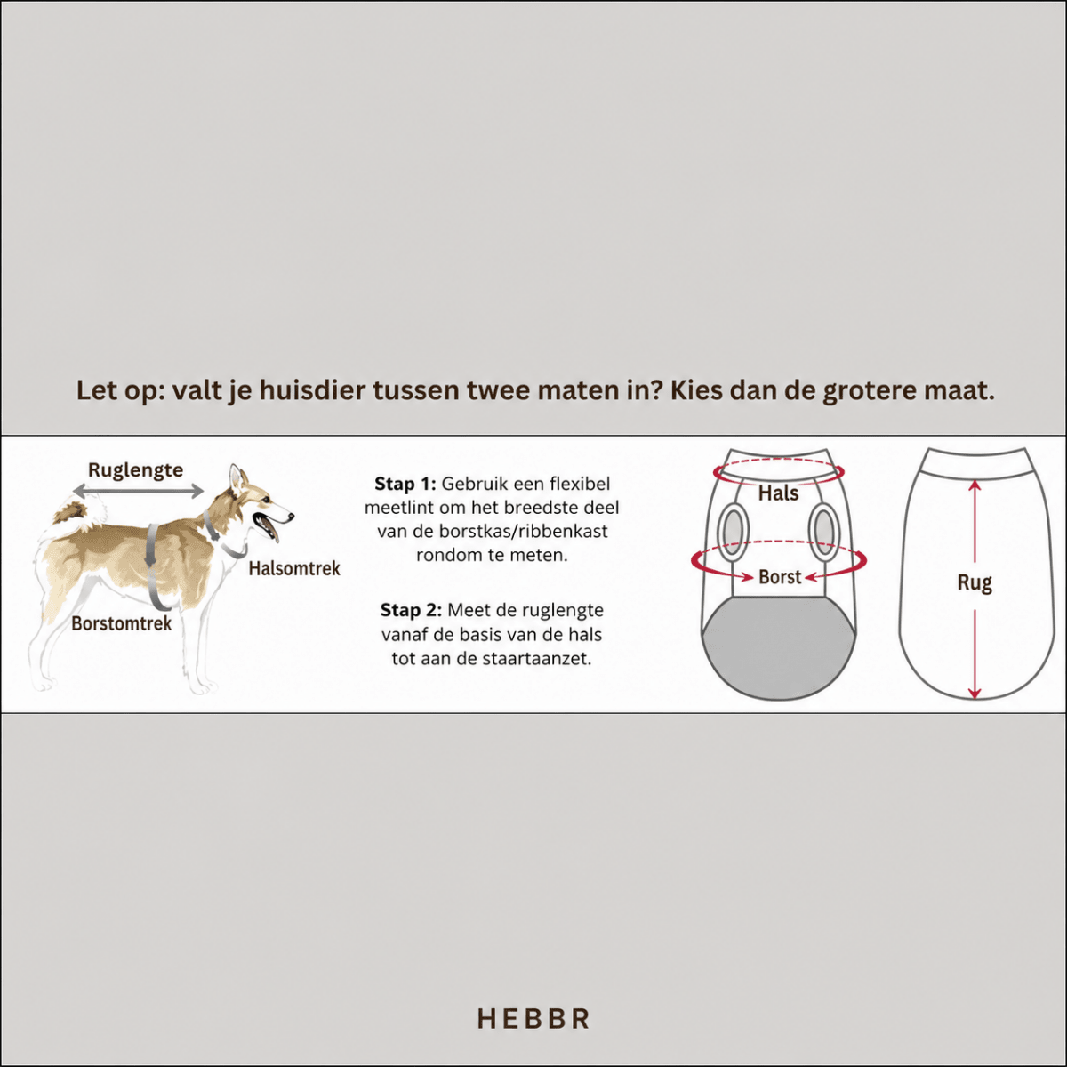 Waterafstotende Hondenjas - Hebbr