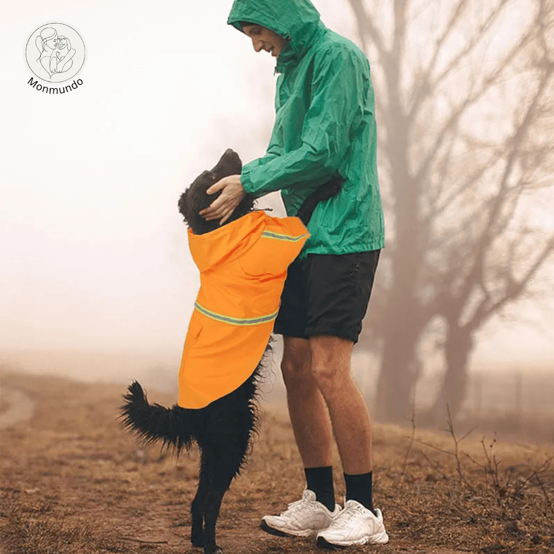 Waterdichte Honden Regenjas – Reflecterend, Comfortabel en Verstelbaar - Hebbr
