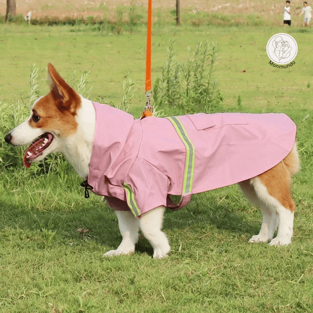 Waterdichte Honden Regenjas – Reflecterend, Comfortabel en Verstelbaar - Hebbr