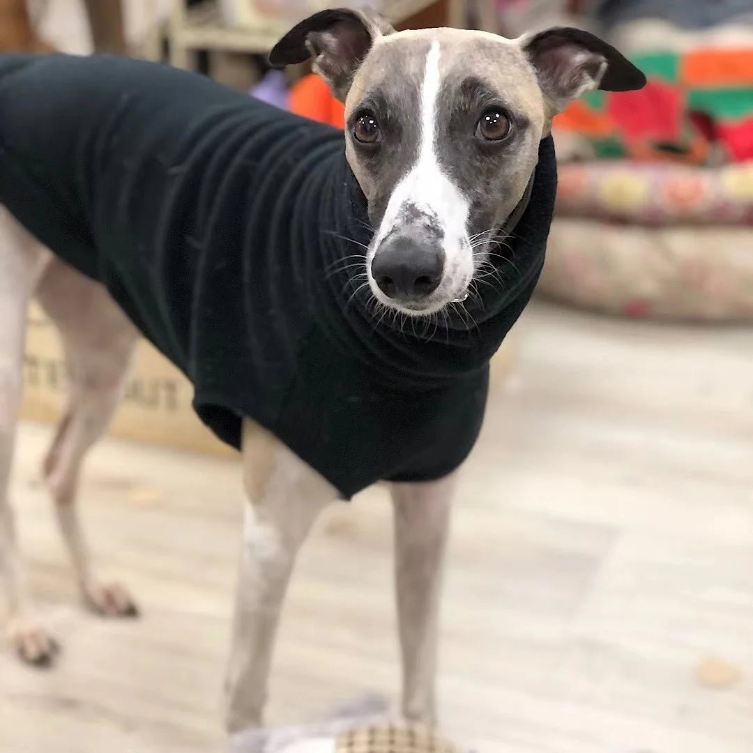 Whippet Hondenkleding Fleece Turtleneck – Warm en Comfortabel - Hebbr