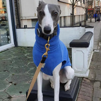Whippet Hondenkleding Fleece Turtleneck – Warm en Comfortabel - Hebbr