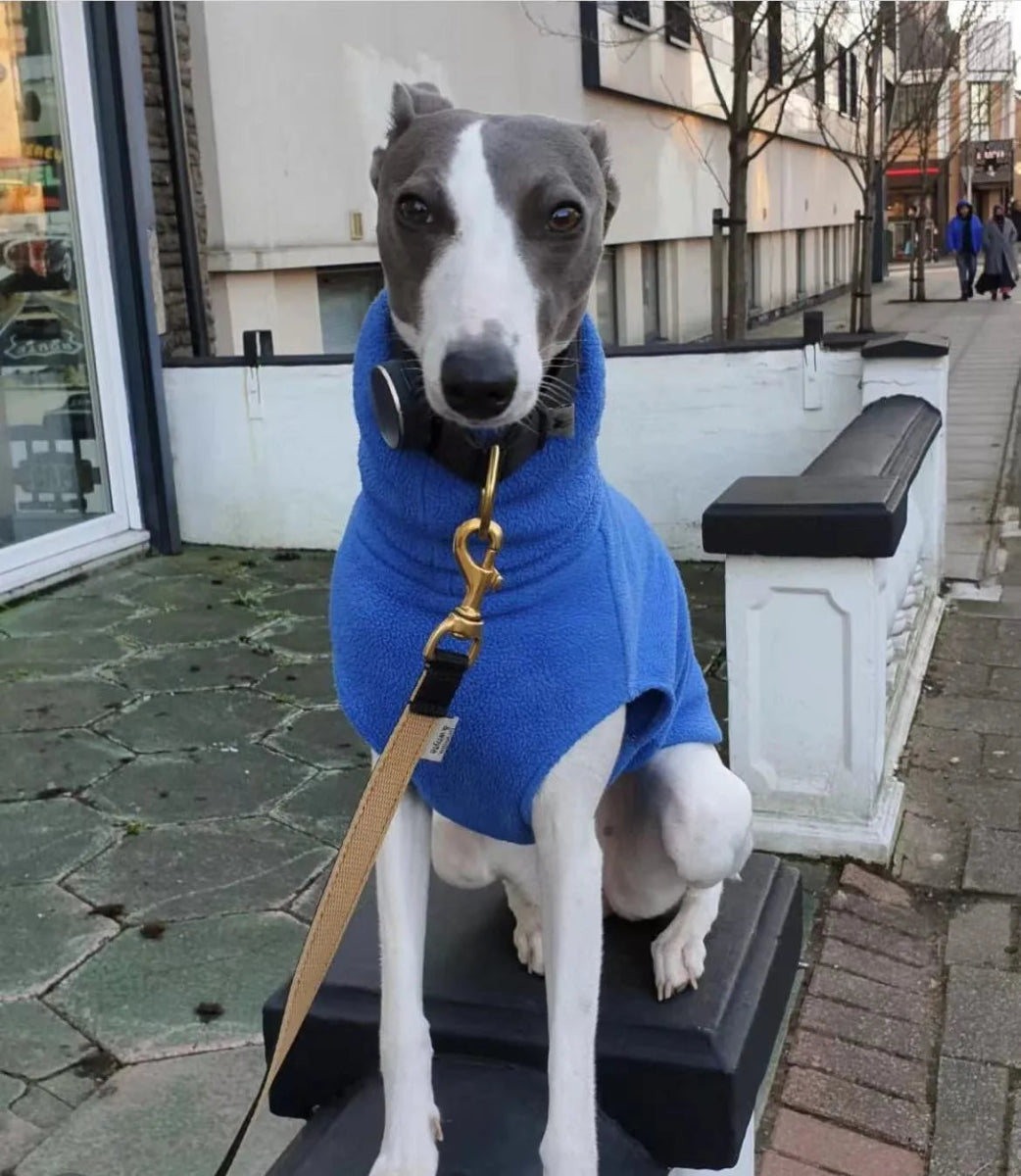 Whippet Hondenkleding Fleece Turtleneck – Warm en Comfortabel - Hebbr