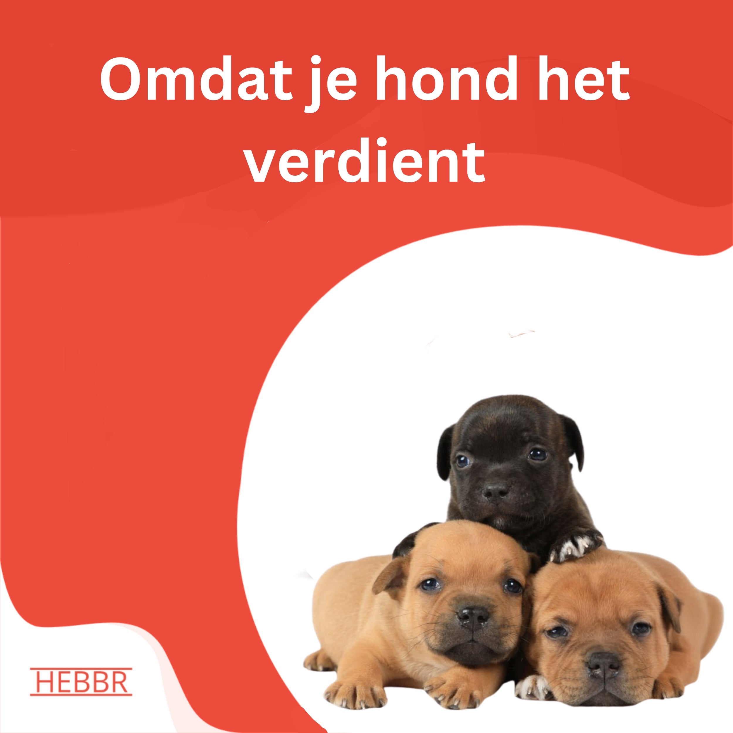 Super Premium Puppy Graanvrij Chicken & Potatoes