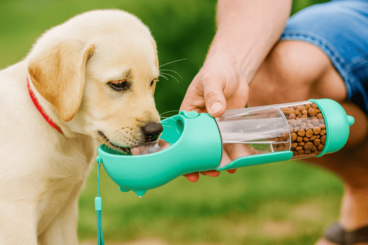 3 in 1 Honden Drinkfles - Hebbr
