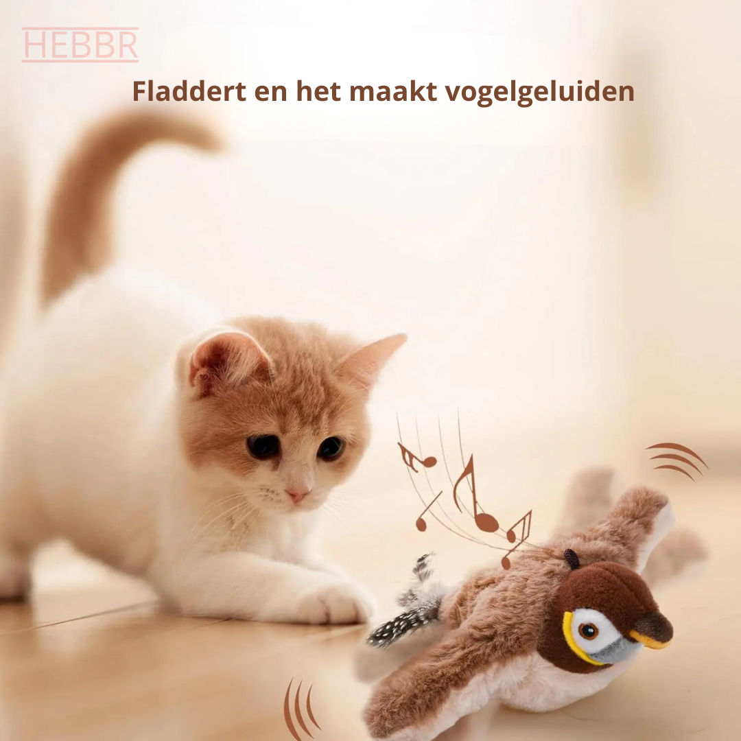 Birdy: Houd je kat actief en gelukkig!