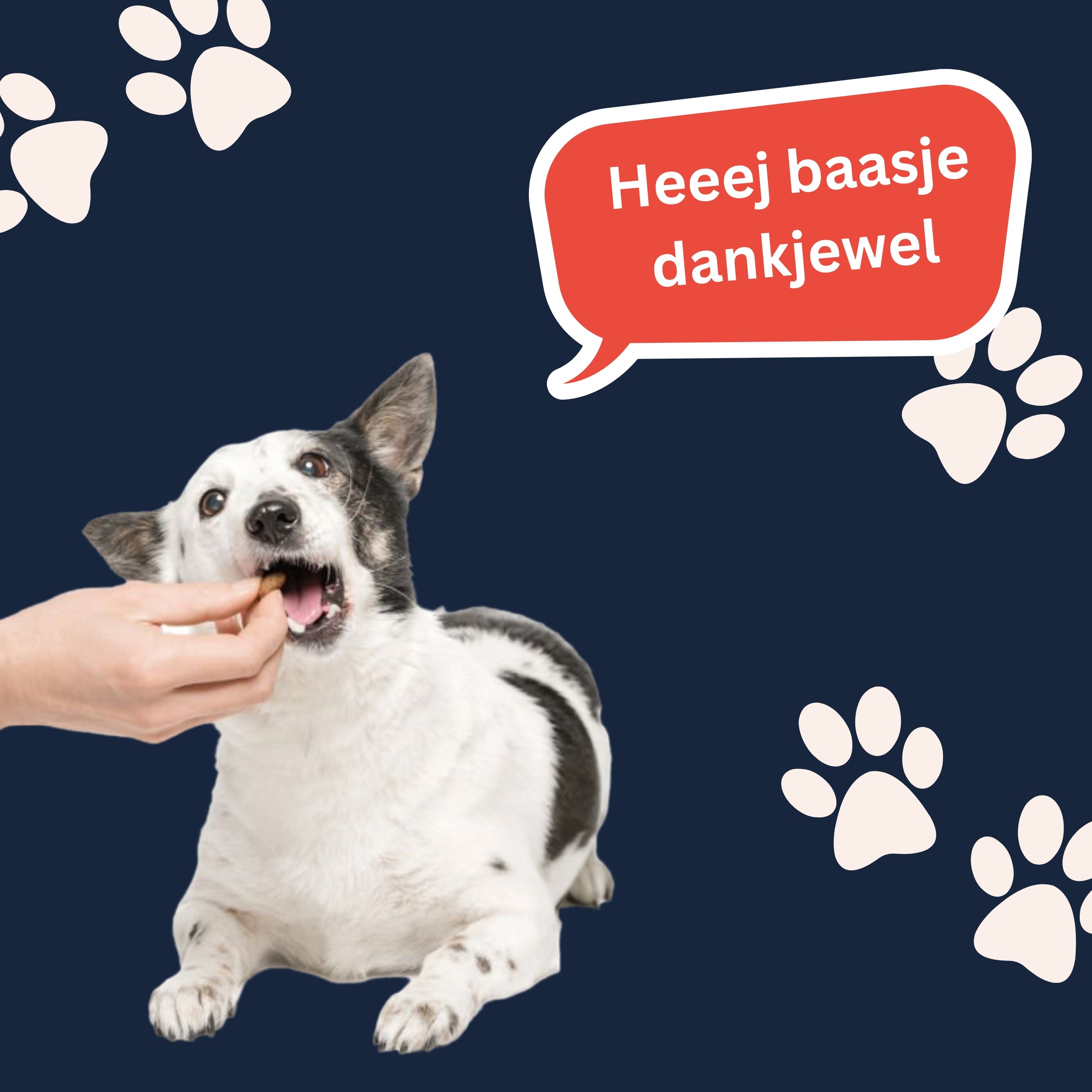 Zachte Beloning Graanvrij Lam