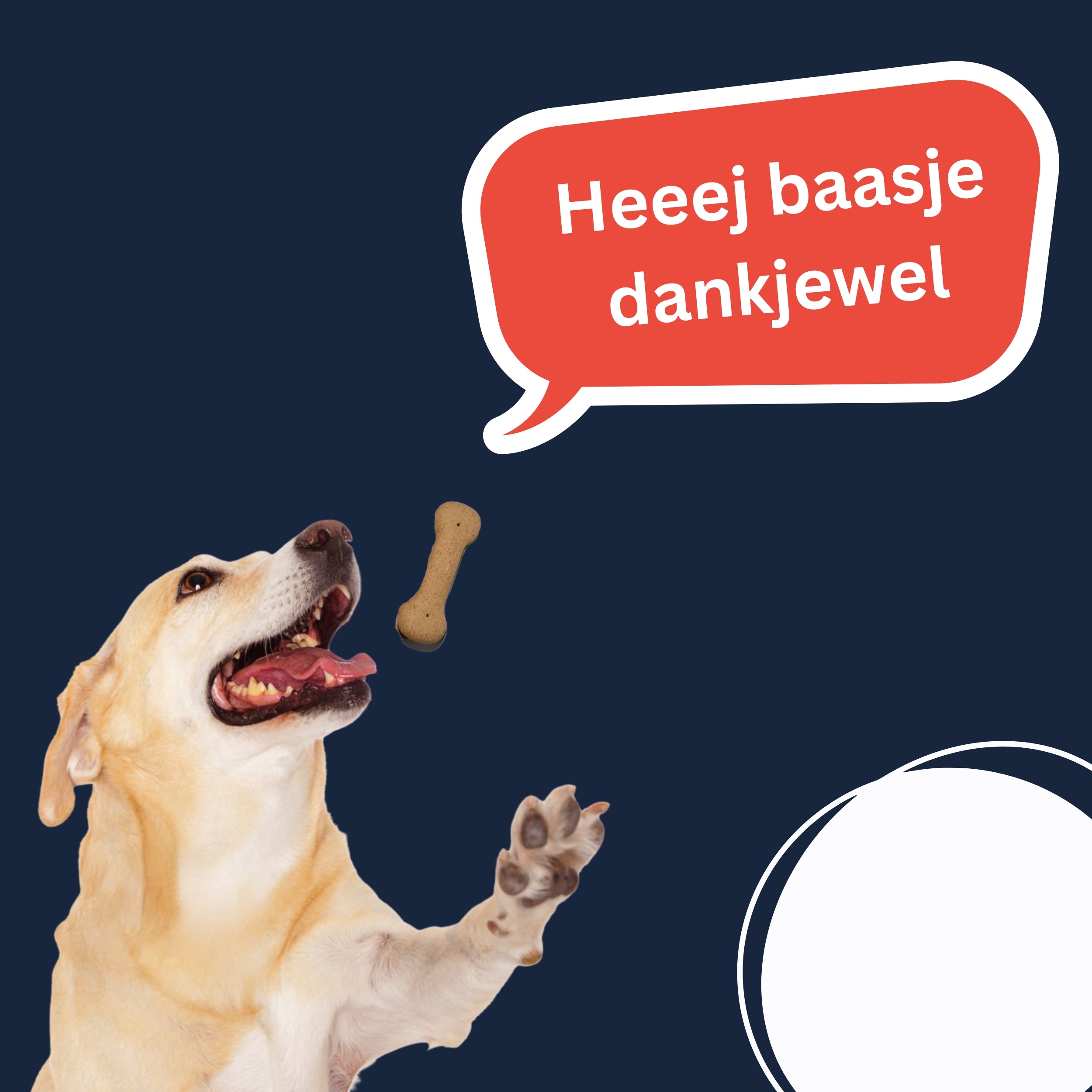Grote Kluif met Lam