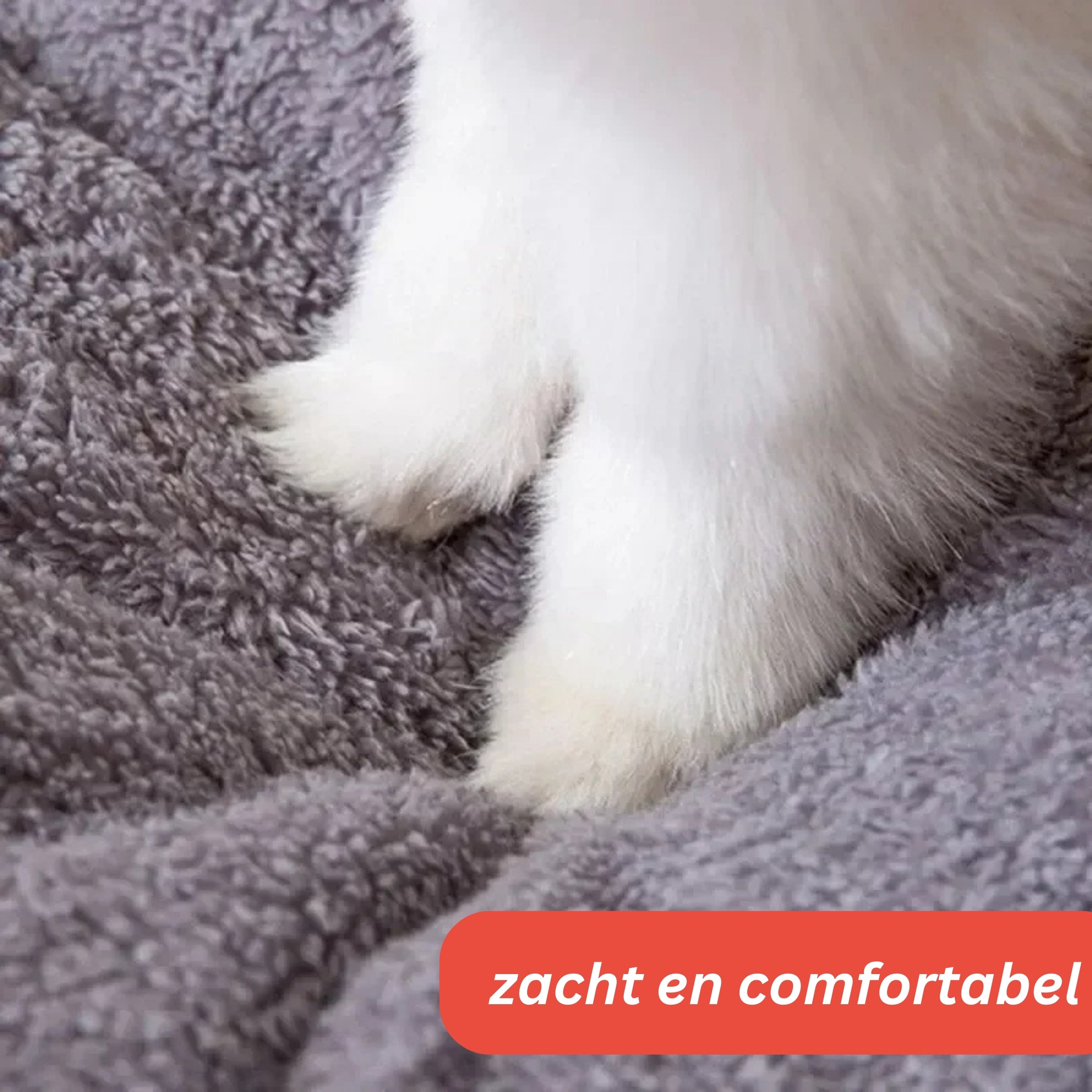 Pluizig Huis - Voor een geborgen en veilig gevoel