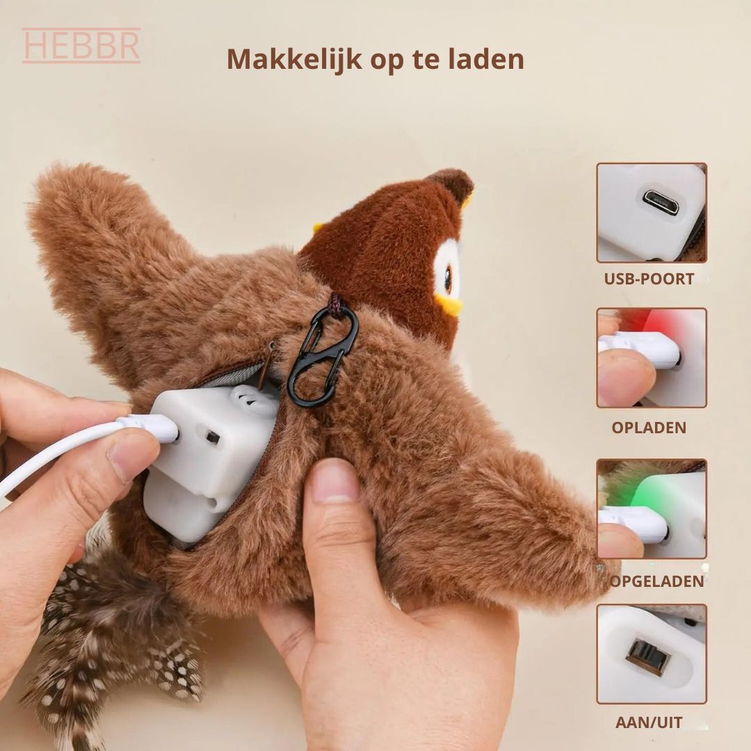 Birdy: Houd je kat actief en gelukkig!