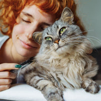 6 Mix Kattenbrokjes - Hebbr