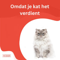 6 Mix Kattenbrokjes - Hebbr