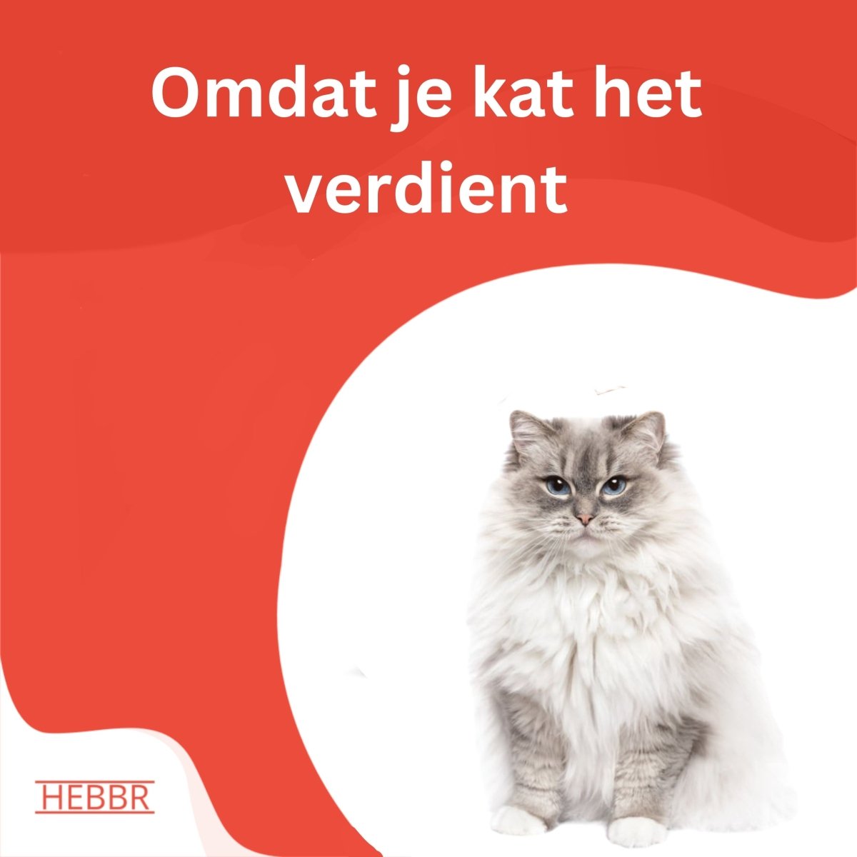 6 Mix Kattenbrokjes - Hebbr