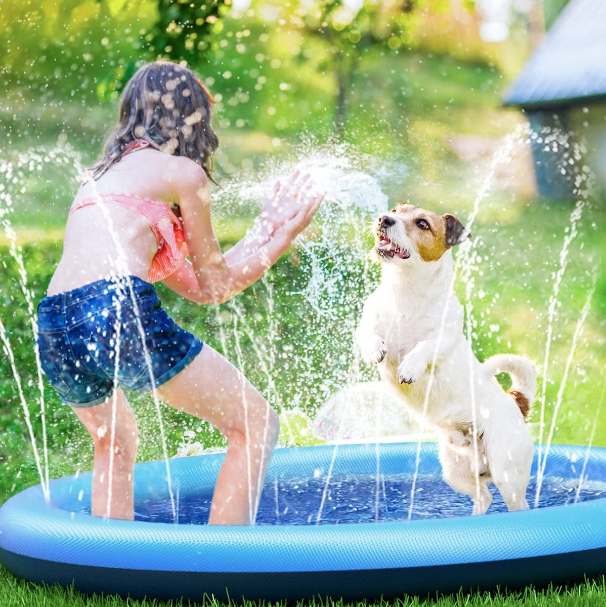 Aquanora  | Verkoeling voor het hele gezin