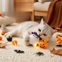 Hugo Halloween Speelgoed | Driedimensionale Vleermuis en Pompoen voor Katten