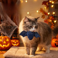 Hugo Halloween Speelgoed | Driedimensionale Vleermuis en Pompoen voor Katten