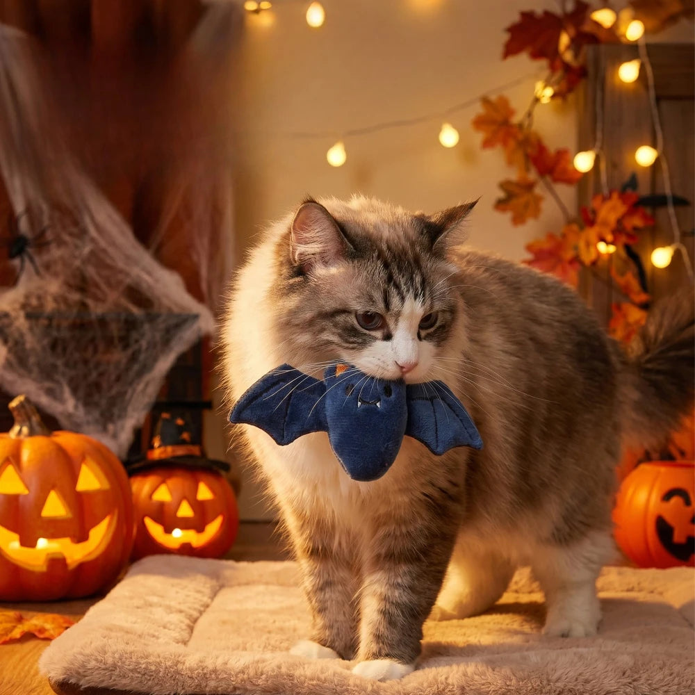 Hugo Halloween Speelgoed | Driedimensionale Vleermuis en Pompoen voor Katten