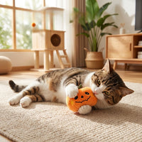 Hugo Halloween Speelgoed | Driedimensionale Vleermuis en Pompoen voor Katten