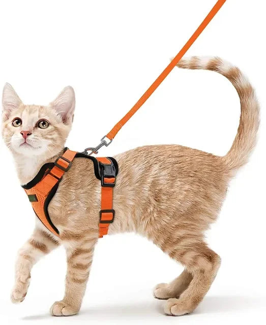 Katten Harnas | Ademend, Verstelbaar, Ontsnappingsbestendig