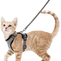 Katten Harnas | Ademend, Verstelbaar, Ontsnappingsbestendig