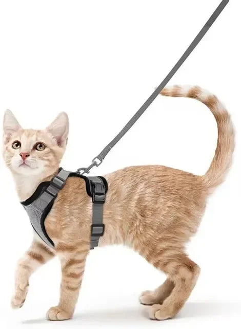Katten Harnas | Ademend, Verstelbaar, Ontsnappingsbestendig