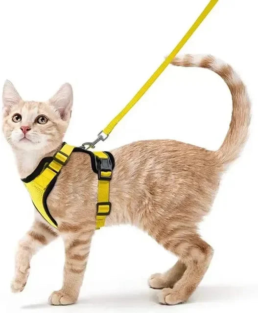 Katten Harnas | Ademend, Verstelbaar, Ontsnappingsbestendig