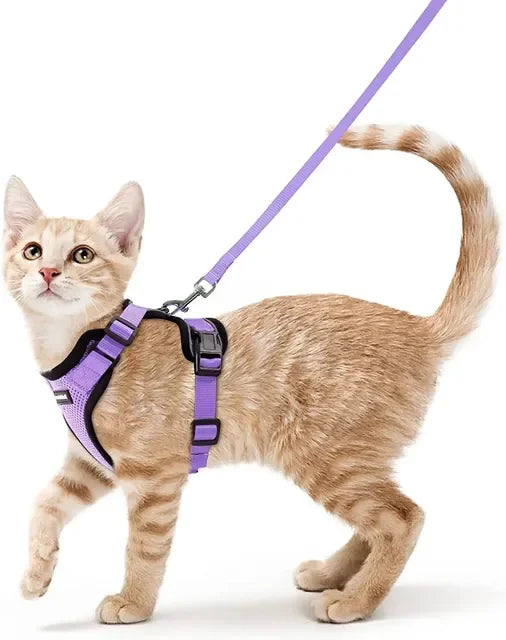 Katten Harnas | Ademend, Verstelbaar, Ontsnappingsbestendig