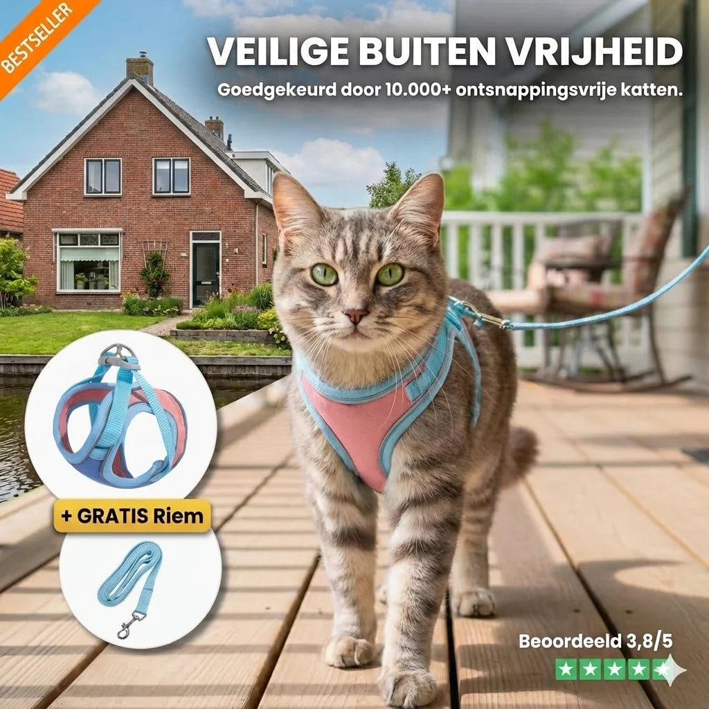 Kato Kattenharnas | Veilig Vest-Design, Ademend Mesh, Reflecterende Details