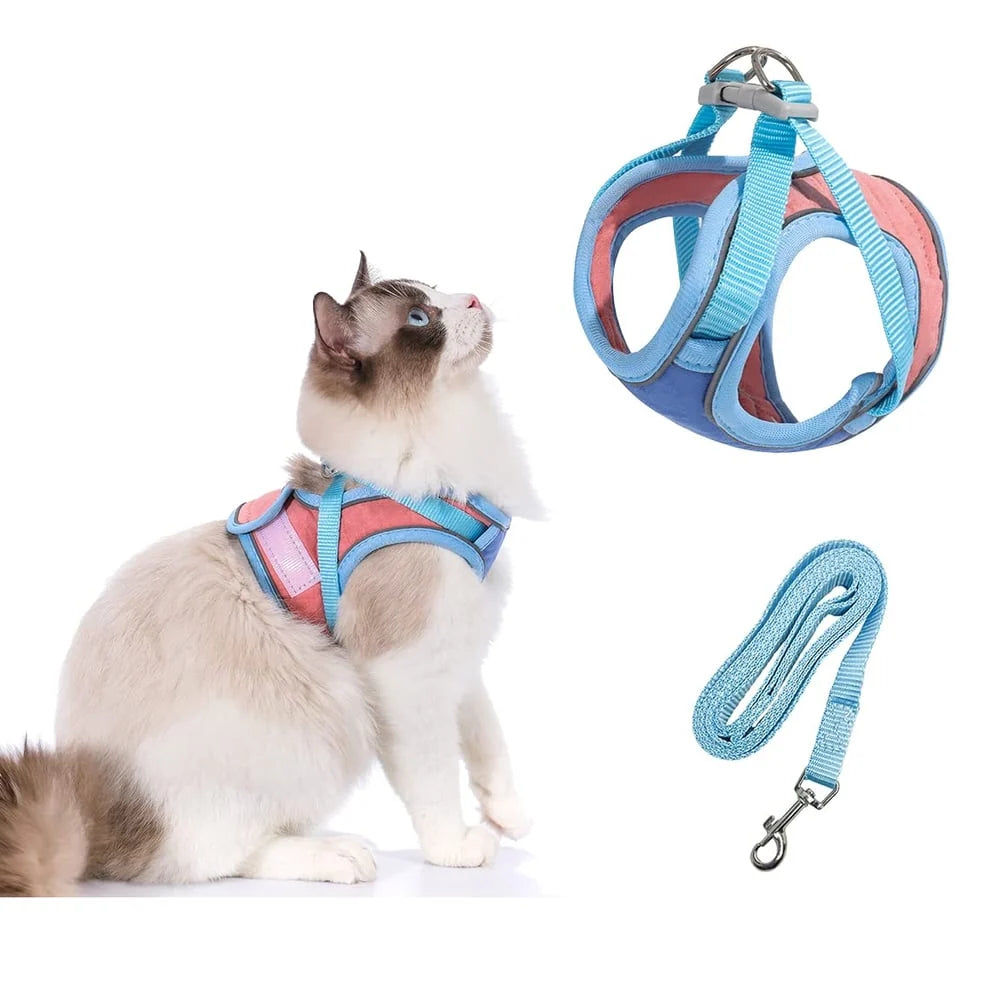 Kato Kattenharnas | Veilig Vest-Design, Ademend Mesh, Reflecterende Details