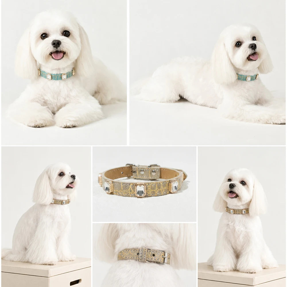 Liora Hondenhalsband | Verstelbaar PU Leer, Krokodillenprint voor Kleine en Middelgrote Honden