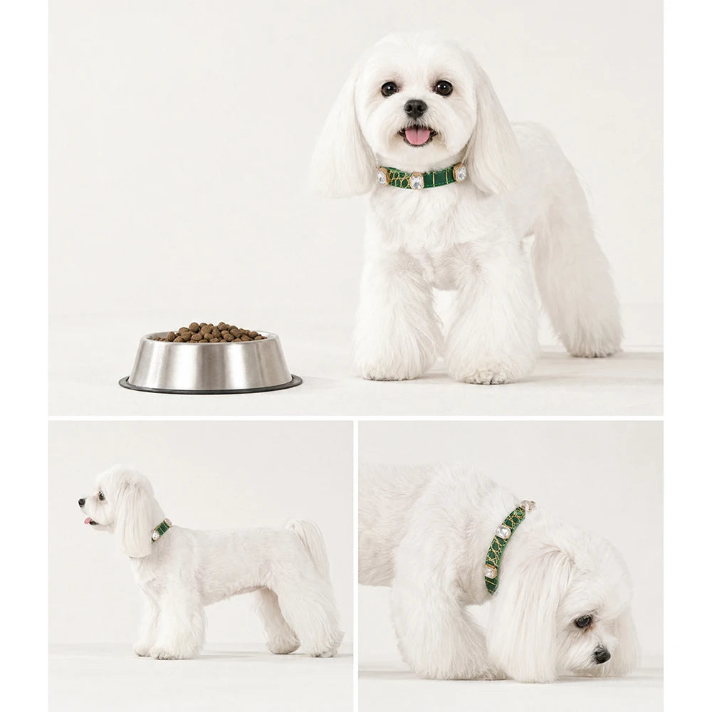 Liora Hondenhalsband | Verstelbaar PU Leer, Krokodillenprint voor Kleine en Middelgrote Honden