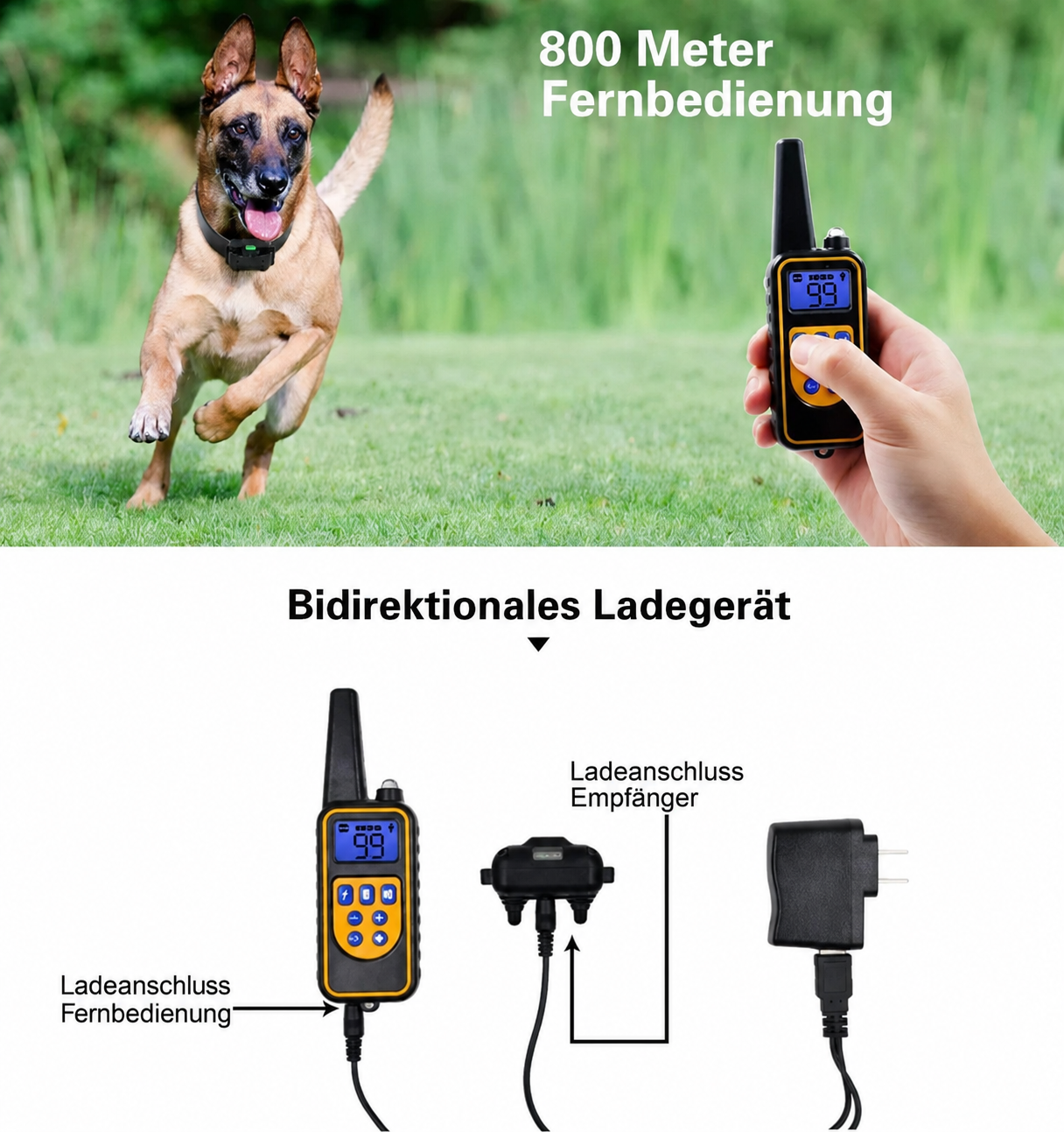 Trainingshalsband | Afstandsbediening, Waterdicht, Instelbare Stimulatie