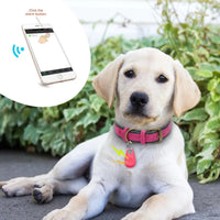 druppel GPS Tracker Hond druppel