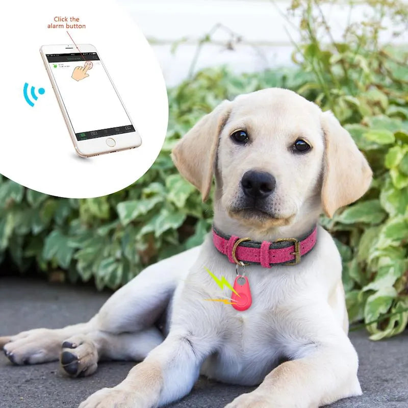 druppel GPS Tracker Hond druppel