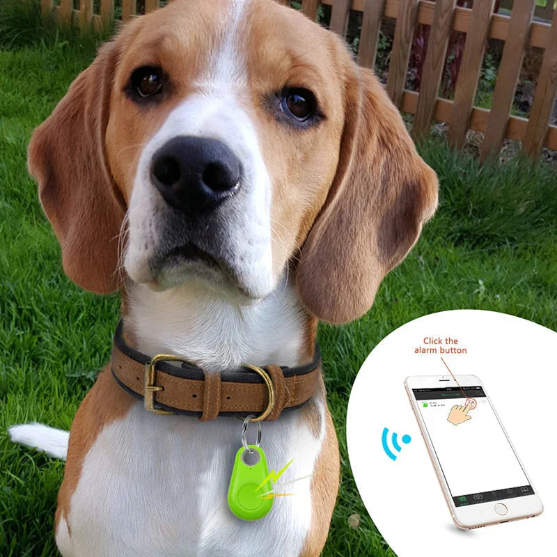 druppel GPS Tracker Hond druppel