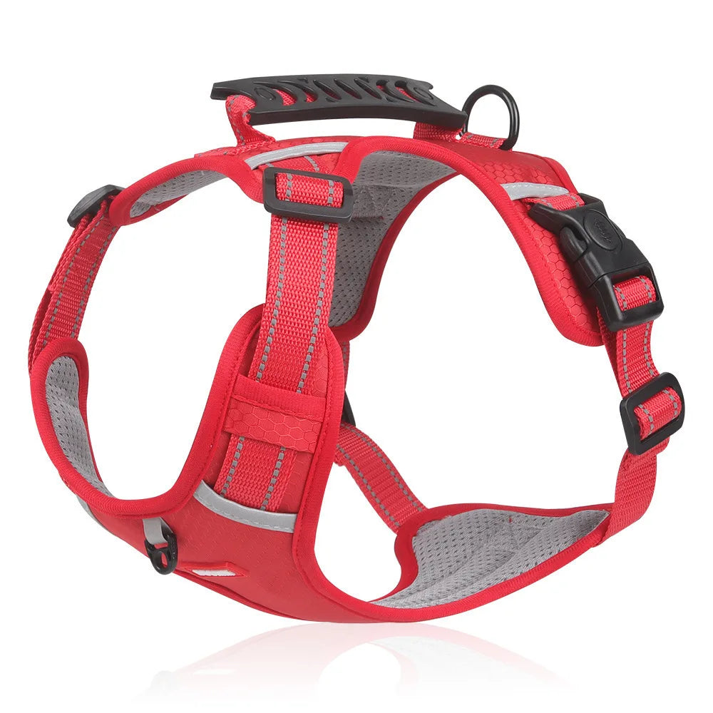 Hondentuig Comfort - Comfortabel wandelen zonder trekken!