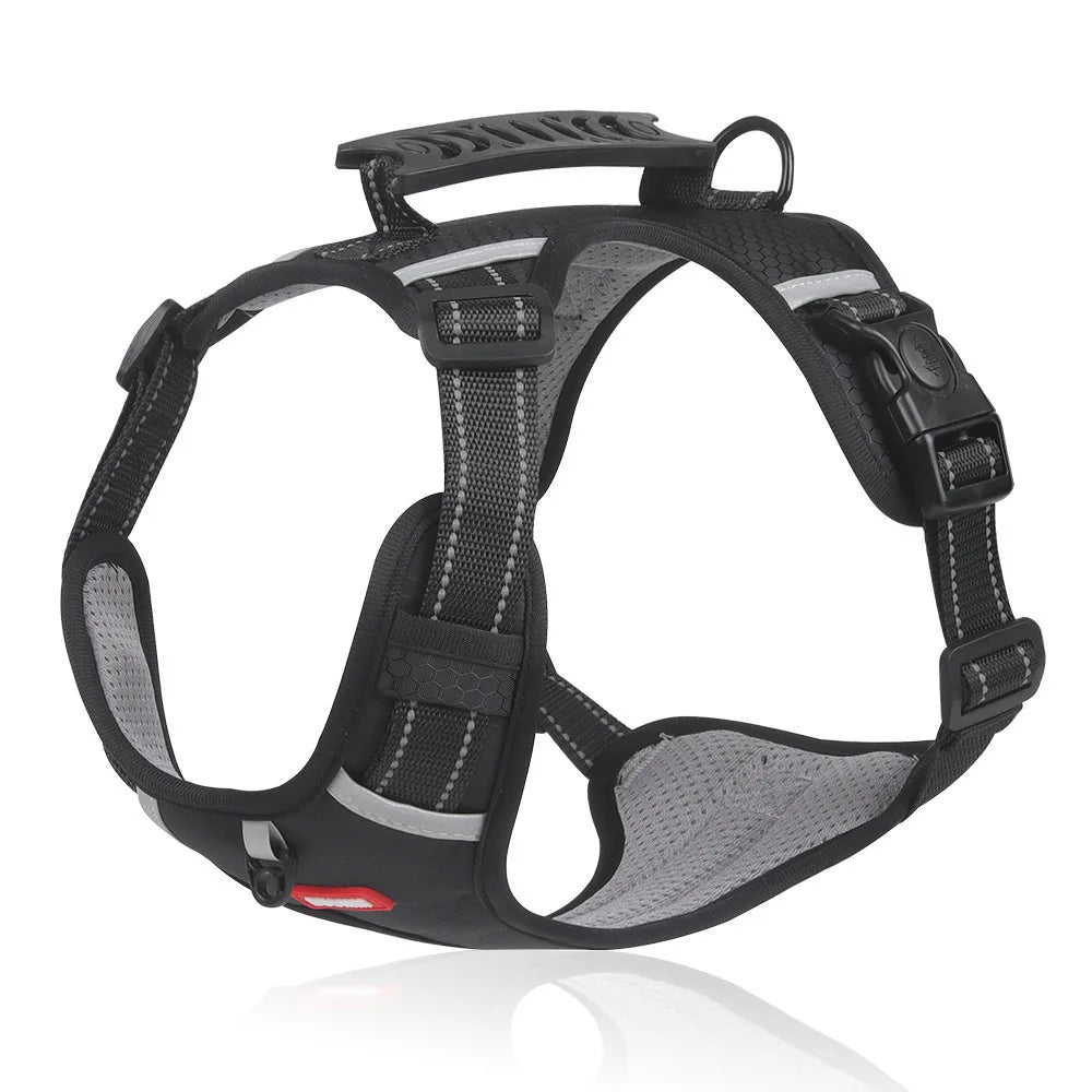 Hondentuig Comfort - Comfortabel wandelen zonder trekken!