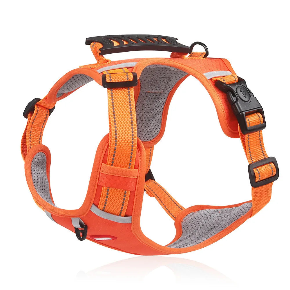 Hondentuig Comfort - Comfortabel wandelen zonder trekken!