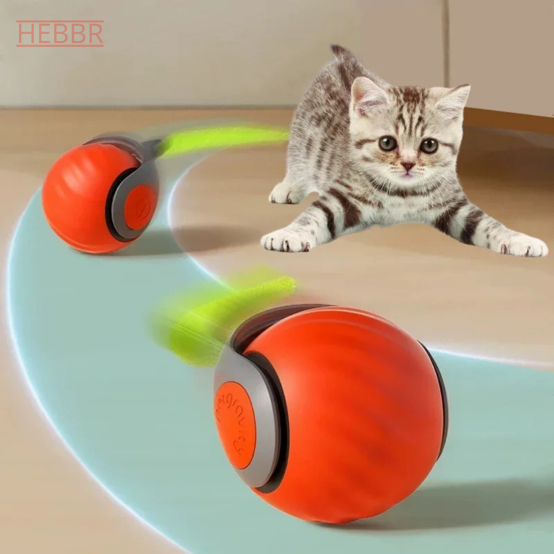 Smartcat bal - Activeert het jacht instinct van je kat