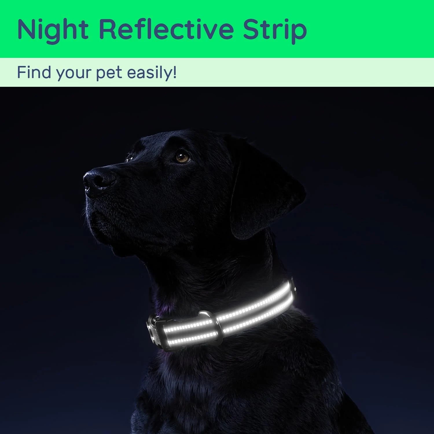 Wavi Hondenhalsband | Waterdicht, Reflecterend met QR-code