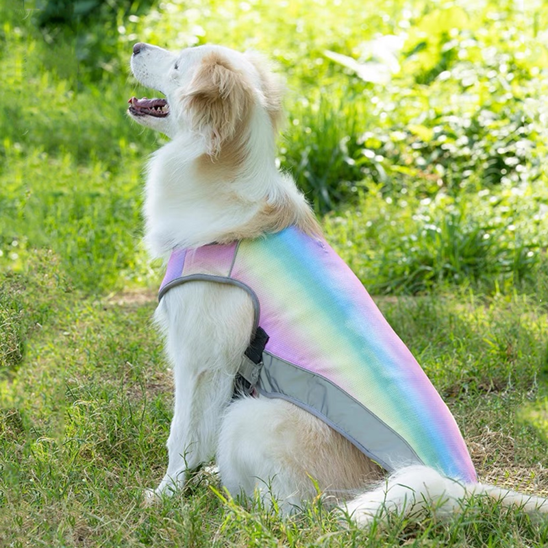 Honden Koelvest | Ademend, Reflecterend, Watergeactiveerd