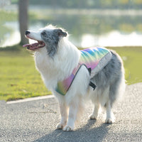 Honden Koelvest | Ademend, Reflecterend, Watergeactiveerd