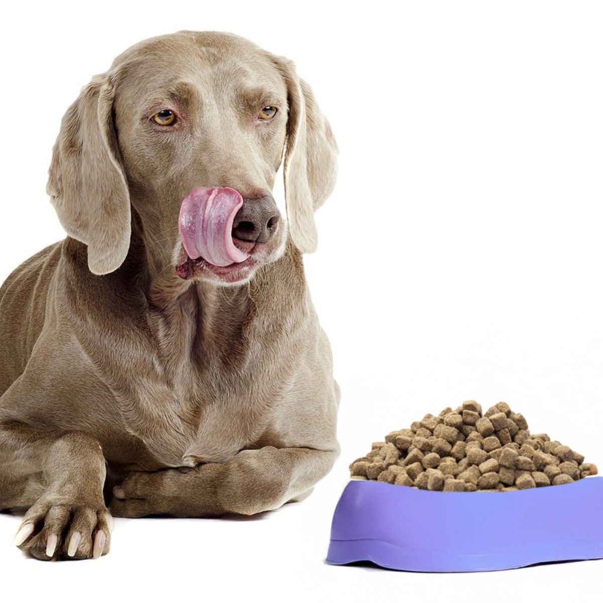 Adult Active Sport & Actief - Hebbr