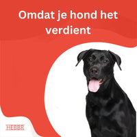 Adult Active Sport & Actief - Hebbr