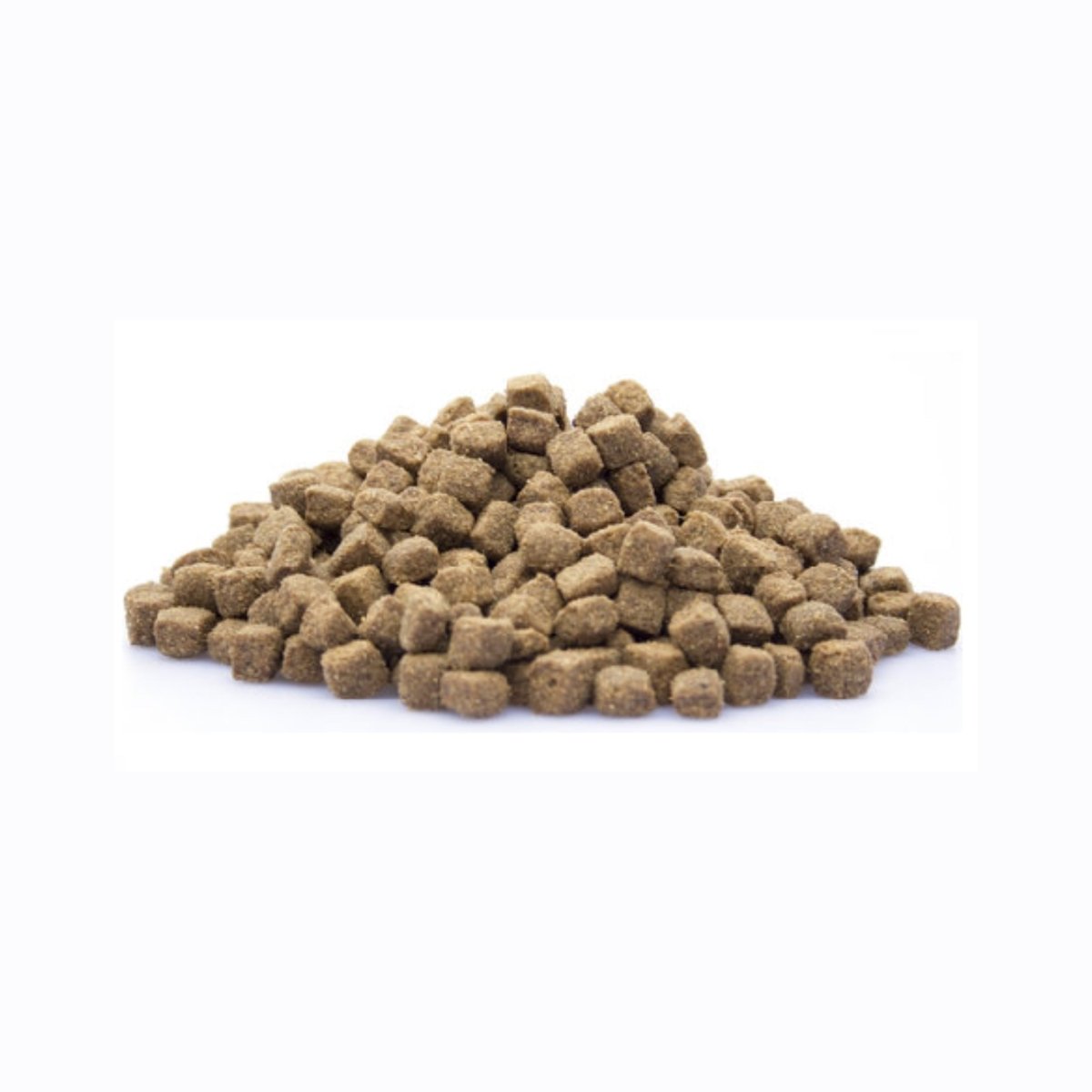 Adult Active Sport & Actief - Hebbr