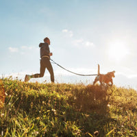 Adult Active Sport & Actief - Hebbr