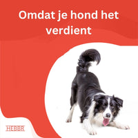 Adult Diner Basic - Hebbr