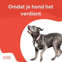 Adult Maxi Basic - Hebbr