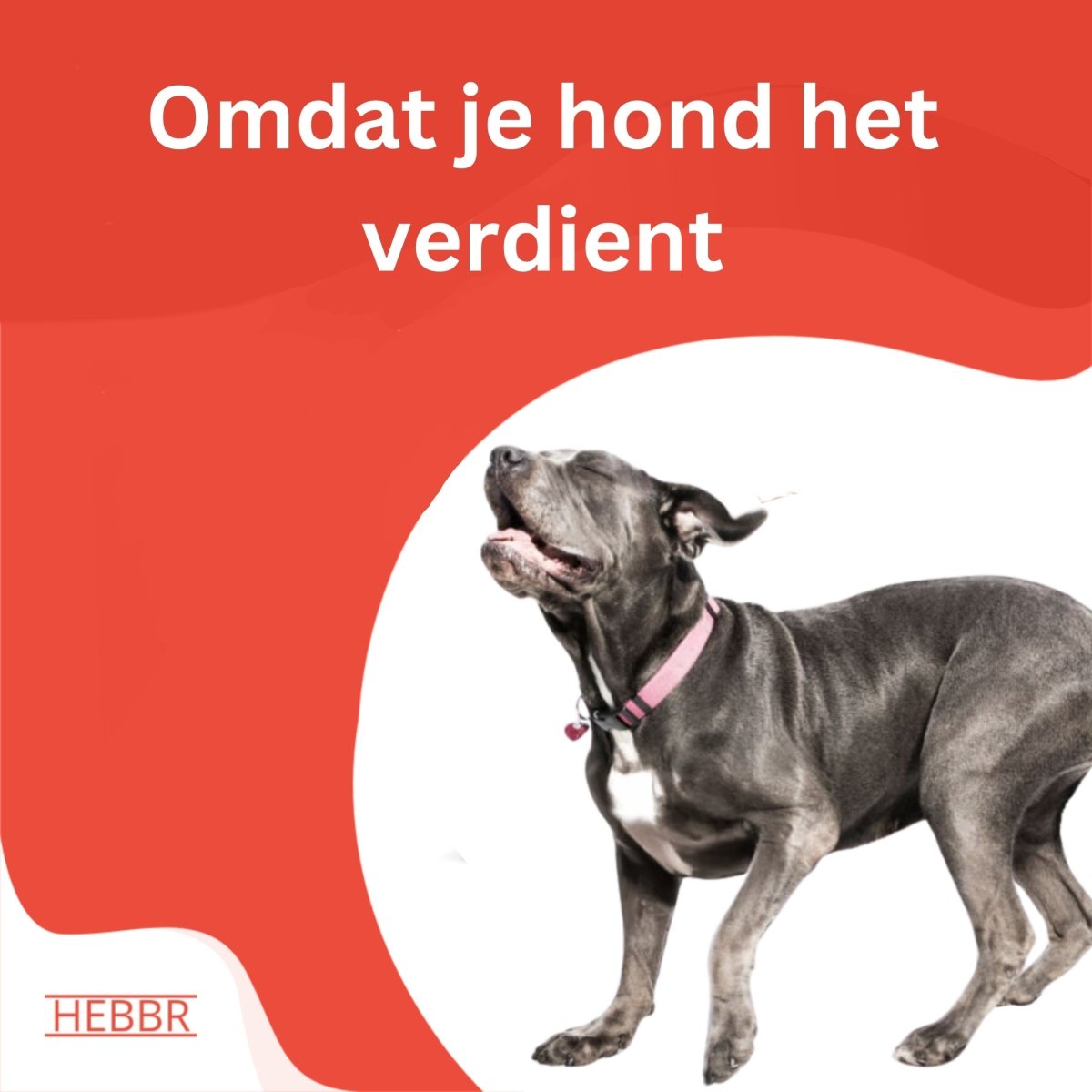 Adult Maxi Basic - Hebbr