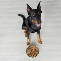 Adult Plus Basic - Adult - Hebbr