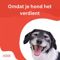 Adult Senior / dieet - Hebbr